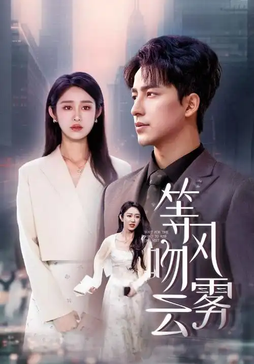 玫瑰的故事 都市情感剧照